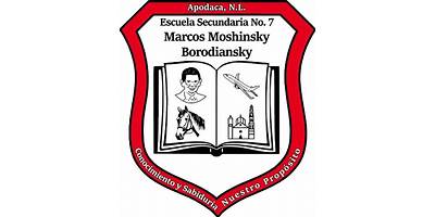 SECUNDARIA NUM. 11 MARCOS MOSHINSKY BORODIANSKY