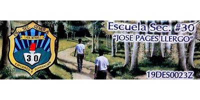 SECUNDARIA NUM. 30 JOSE PAGES LLERGO