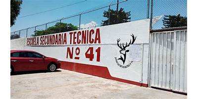 SECUNDARIA TECNICA NUM. 41