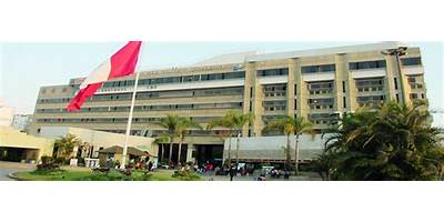 SEHO INSTITUTO NACIONAL DE ENFERMEDADES NEOPLASICAS