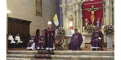 SEÑOR DE LOS MILAGROS DE LAS VIÑAS
