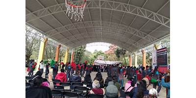 TELESECUNDARIA 294