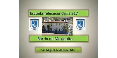TELESECUNDARIA 317