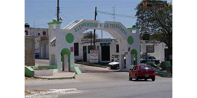 TELESECUNDARIA 880 FLAVIO GUILLEN ANCHEYTA