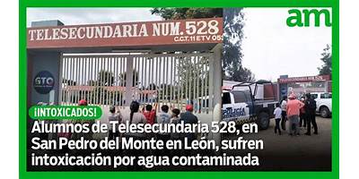 TELESECUNDARIA NUM. 528