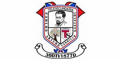 TELESECUNDARIA