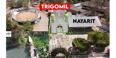 TRIGOMIL