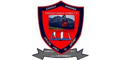 VIRGILIO GARZA FLORES