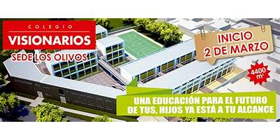 VISIONARIOS COLEGIO