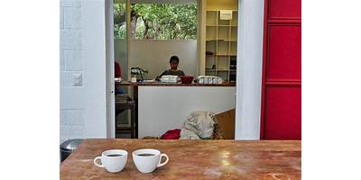 -CEEX- ESCUELA DE CAFICULTURA ANTIGUA COFEE