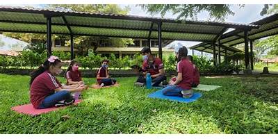 COLEGIO AMERICANO DEL SUR