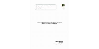 COLEGIO DESARROLLO DEL POTENCIAL INTELECTUAL VILLAGE