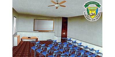 COLEGIO PARTICULAR MIXTO LIMONES