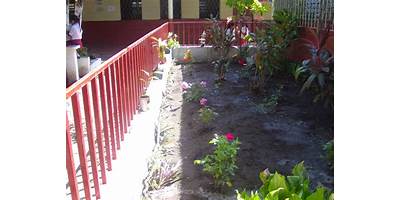 EORM PROFESOR FRANCISCO ANTONIO COLINDRES PEREZ