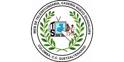 INSTITUTO OFICIAL DE EDUCACIÓN BÁSICA DE TELESECUNDARIA