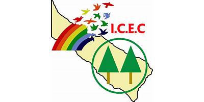 INSTITUTO COOPERATIVO DE ENSEÑANZA Y CAPACITACION