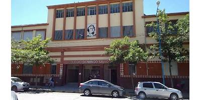 COLEGIO DOMINGO SAVIO