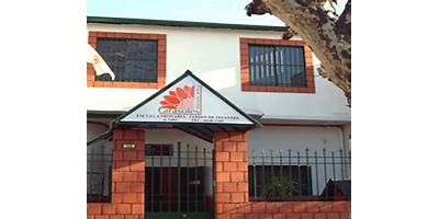GIRASOLES ESCUELA ACTIVA