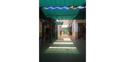 GRAL MAXIMO DE ZAMUDIO