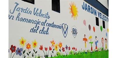 INST. DR DALMACIO VELEZ SARSFIELD