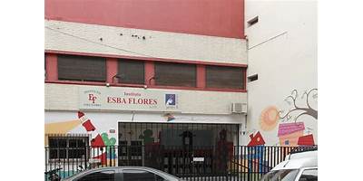 INSTITUTO ESBA FLORES