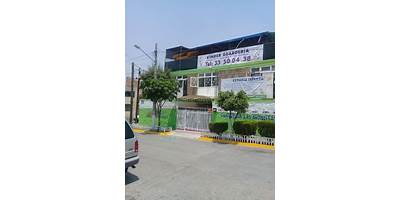 ARDILLITAS-01