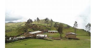 CHACHACOMAL ALTO