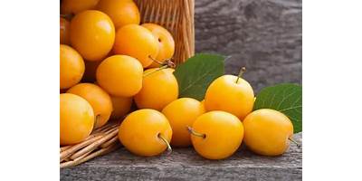 CIRUELA LIMON