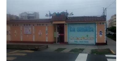 CRECIENDO EN LA SEMILLITA