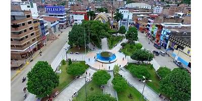 EL PALMO