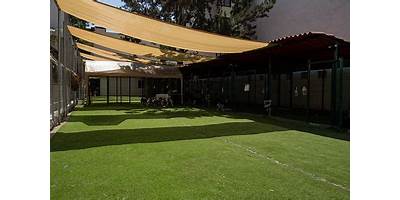 HUELLITAS DE TERNURA