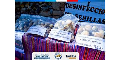 LAS SEMILLAS