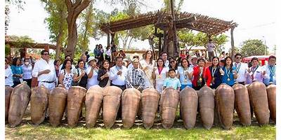 LOS NIÑOS Y SU MUNDO