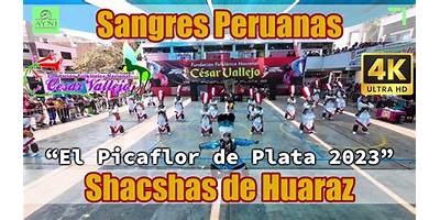 LOS PICAFLORCITOS