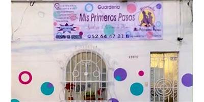 MIS PRIMEROS PASITOS