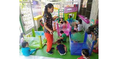 NIÑOS SABIOS