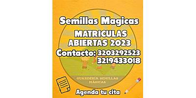 SEMILLAS MAGICAS