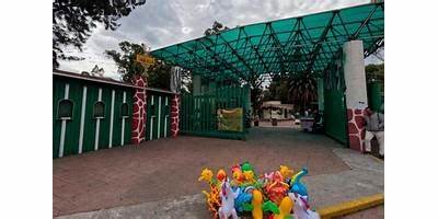 CARMEN MAZA DE DEL MAZO