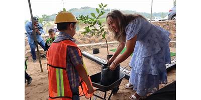 CENTRO DE ASISTENCIA INFANTIL COMUNITARIO EL CARACOL-CARACOL