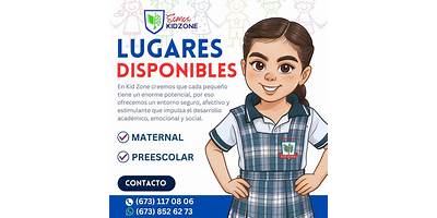 COLEGIO PEDAGOGICO KID ZONE