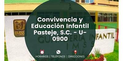 CONVIVENCIA Y EDUCACION INFANTIL PASTEJE S.C.