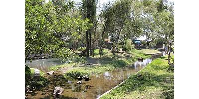 INICIAL NIÑOS MIGRANTES FRESNOS ARENERAS