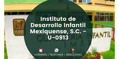 INSTITUTO DE DESARROLLO INFANTIL MEXIQUENSE, S. C.