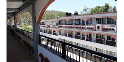 INSTITUTO DEL BOSQUE