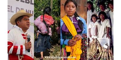 MODULO DE ATENCION Y SERVICIO DE EDUCACION INDIGENA