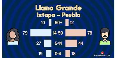PREESCOLAR COMUNITARIO RURAL LLANO GRANDE IXTAPA
