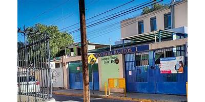 UN MUNDO PARA BAJITOS IV