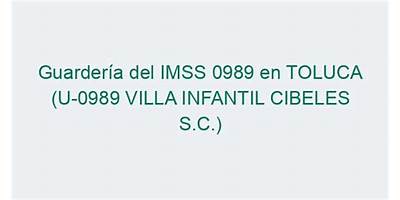 VILLA INFANTIL CIBELES S. C.