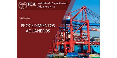 INSTITUTO DE CAPACITACION ADUANERA