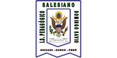 ISP SALESIANO DOMINGO SAVIO